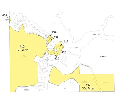 PUBLIC ONLINE AUCTION - 90 plus acres located on Lay Lake in - photo 2