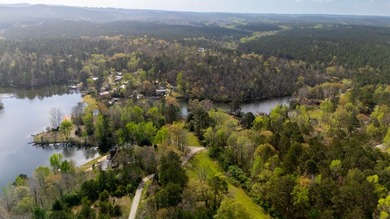 PUBLIC ONLINE AUCTION - 90 plus acres located on Lay Lake in - photo 4