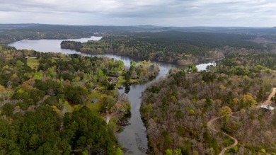 PUBLIC ONLINE AUCTION - 90 plus acres located on Lay Lake in - photo 7