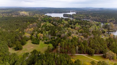 PUBLIC ONLINE AUCTION - 90 plus acres located on Lay Lake in - photo 8