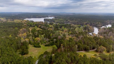 PUBLIC ONLINE AUCTION - 90 plus acres located on Lay Lake in - photo 9