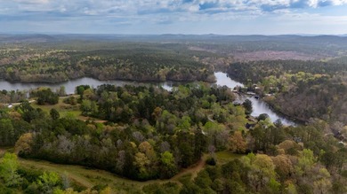 PUBLIC ONLINE AUCTION - 90 plus acres located on Lay Lake in - photo 10