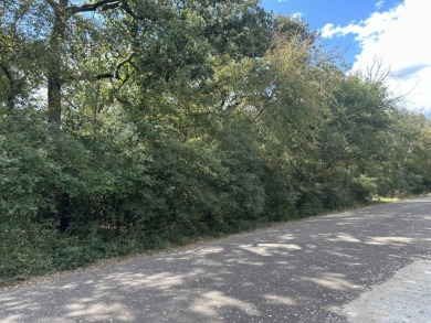 Lake Lot For Sale in Groesbeck, Texas