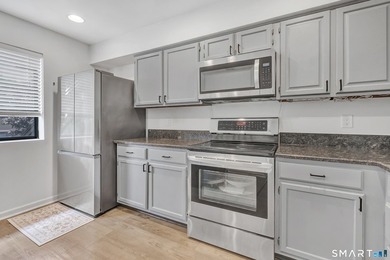 Welcome to this beautifully remodeled, turnkey second-floor - photo 14