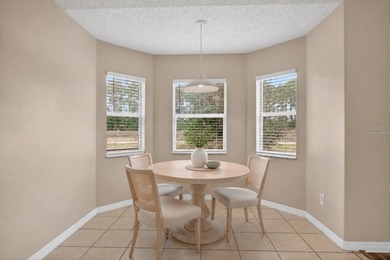 Virtually Staged. Move-in-ready 3-bedroom, 2-bath home in Palm - photo 14