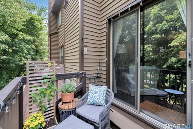Welcome to this beautifully remodeled, turnkey second-floor - photo 30
