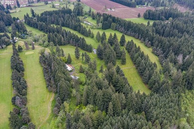 Wonderful private 60 acres currently Springwater Golf Coursees - photo 6