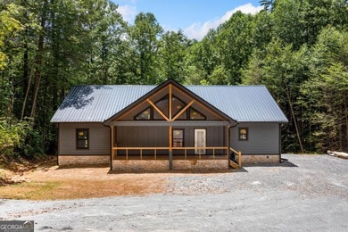 (private lake, pond, coastal) Home For Sale in Ellijay Georgia