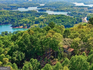 Perched high above Lake Chatuge and overlooking the charming - photo 44