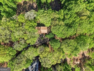 Perched high above Lake Chatuge and overlooking the charming - photo 50