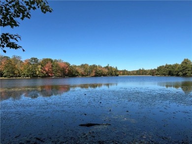 (private lake, pond, creek) Lot For Sale in Sarona Wisconsin