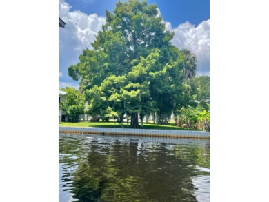 Suwannee River - Dixie County Lot For Sale in Suwannee Florida