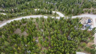 Welcome to 550 Muir Road in Fintry, a beautiful 9,000 sq ft - photo 10