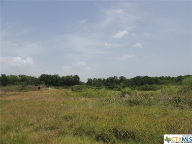 (private lake, pond, creek) Acreage For Sale in Victoria Texas