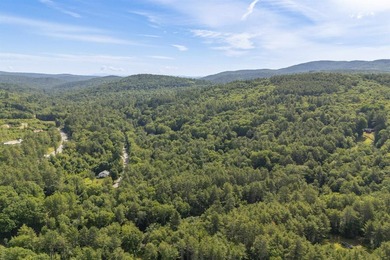 Great opportunity for land in Bradford! Build your year-round - photo 15