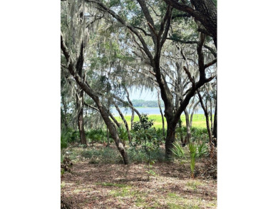 Lake Lot For Sale in Dunnellon, Florida