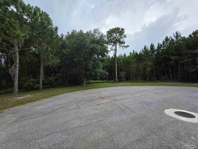 Rare opportunity to own a spacious vacant homesite in the highly - photo 2