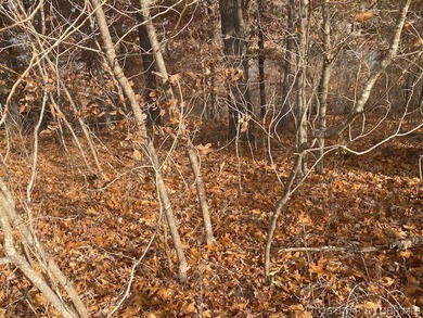 Discover the opportunity to build your Lake of the Ozarks - photo 4