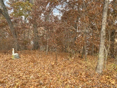 Discover the opportunity to build your Lake of the Ozarks - photo 5