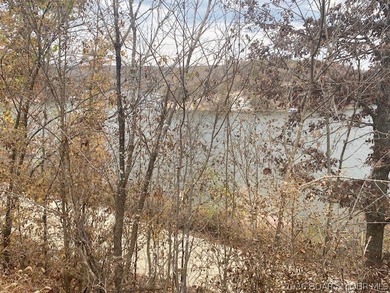 Discover the opportunity to build your Lake of the Ozarks - photo 7
