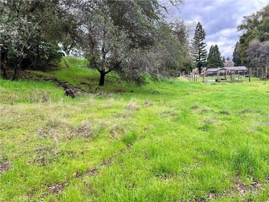 Lake Lot For Sale in Lucerne, California