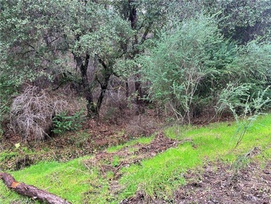Clear Lake Acreage For Sale in Clearlake Oaks California