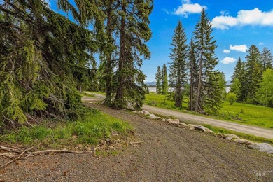 Welcome to your own slice of Idaho paradise! This nearly 3-acre - photo 6