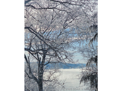 Welcome to your lake retreat! This darling cabin is in a quiet - photo 41