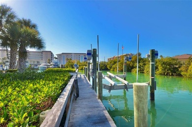One or more photo(s) has been virtually staged. VENICE ISLAND - photo 9