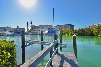 One or more photo(s) has been virtually staged. VENICE ISLAND - photo 10