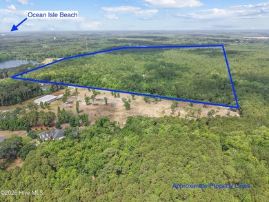 Prime Development Opportunity: 108.49 Acres on Todd Rd - photo 6