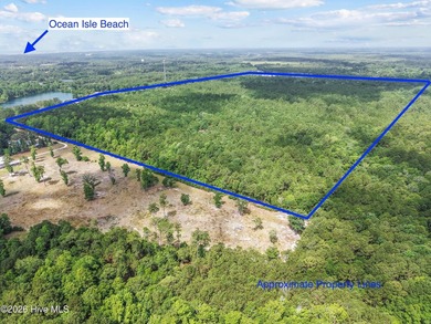 Prime Development Opportunity: 108.49 Acres on Todd Rd - photo 7