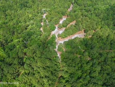 Prime Development Opportunity: 108.49 Acres on Todd Rd - photo 8
