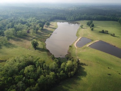 Lake Acreage For Sale in Camden, Alabama
