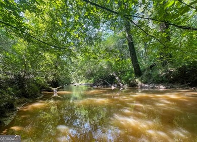 Tucked into the rolling countryside of West Georgia, just 45 - photo 7