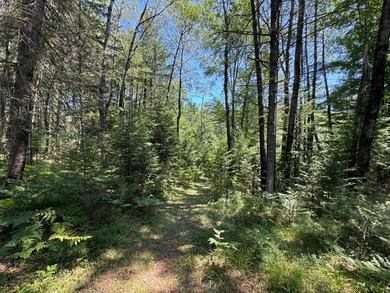 Tomahawk Riverfront Home- the perfect Northwoods retreat where - photo 33