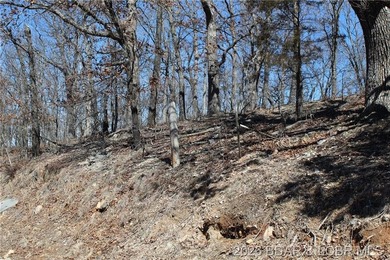 Hard-to-find 5-acre wooded tract with F Highway frontage in the - photo 2