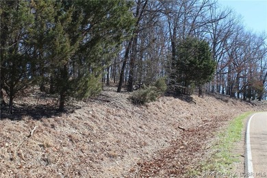Hard-to-find 5-acre wooded tract with F Highway frontage in the - photo 4