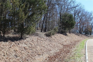 Hard-to-find 5-acre wooded tract with F Highway frontage in the - photo 4