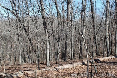 Hard-to-find 5-acre wooded tract with F Highway frontage in the - photo 6