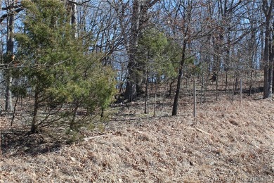 Hard-to-find 5-acre wooded tract with F Highway frontage in the - photo 7