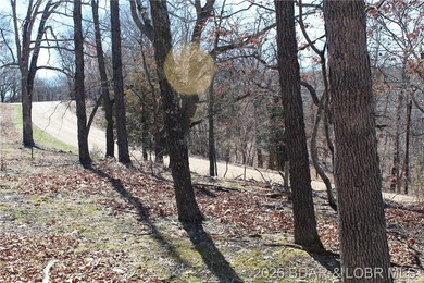 Hard-to-find 5-acre wooded tract with F Highway frontage in the - photo 8