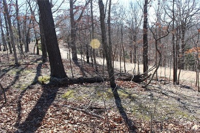 Hard-to-find 5-acre wooded tract with F Highway frontage in the - photo 10