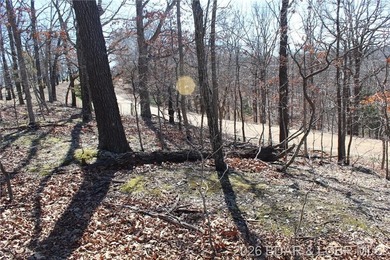 Hard-to-find 5-acre wooded tract with F Highway frontage in the - photo 10