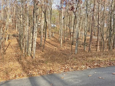 Lake Lanier Lot For Sale in Murrayville Georgia