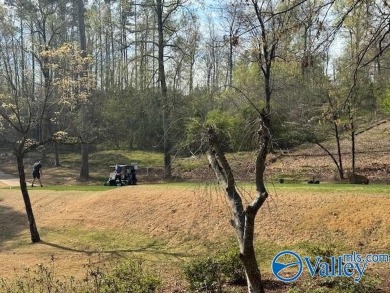 Lake Guntersville Lot For Sale in Guntersville Alabama