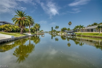 Discover the best of Southwest Florida Gulf-access waterfront - photo 49