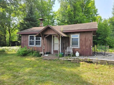 Lake Home For Sale in Channing, Michigan