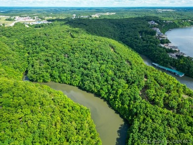 Opportunities like this are becoming rare at Lake of the Ozarks - photo 5