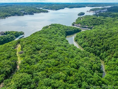 Opportunities like this are becoming rare at Lake of the Ozarks - photo 7